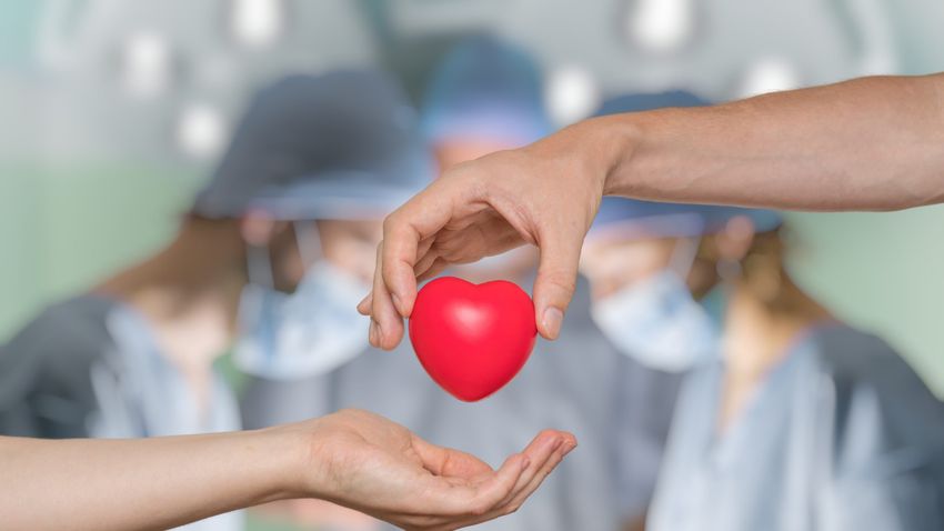 szív egészségügyi roadshow ginzeng és a szív egészsége