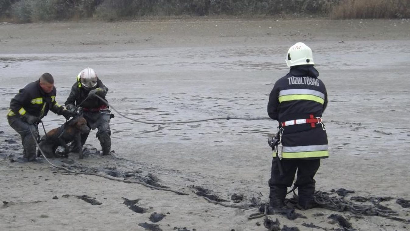 Mozdulni sem bírt a kutya, egy bányató iszapjában merült el – így szabadították ki