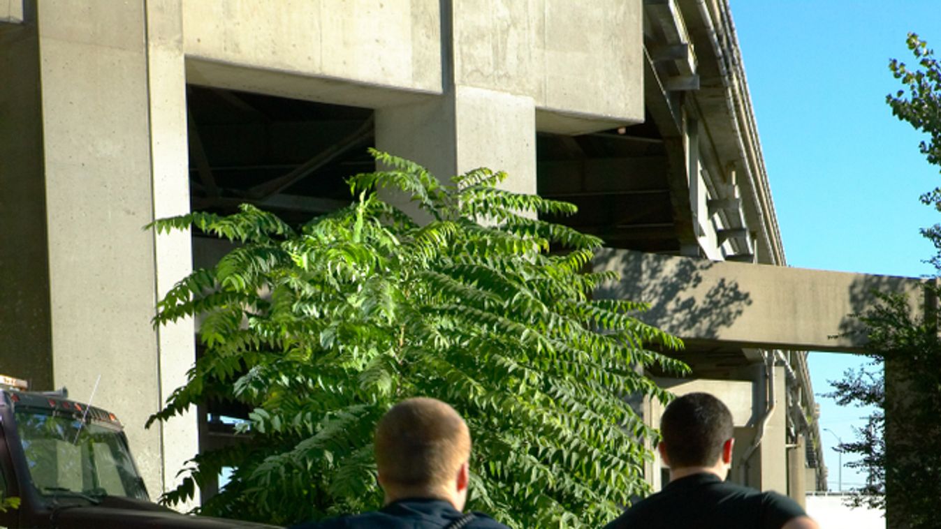 A háztetőn menekült a rendőrök elől a körözött szexbűnöző Budapesten