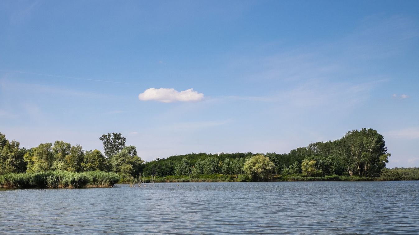 Tavak, nádasok, rekettyések