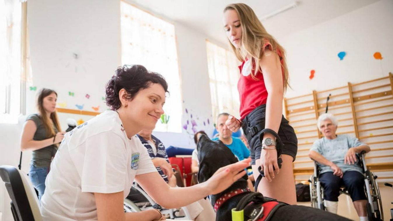 Terápiás kutyák segítik a rehabilitációt az egri kórházban