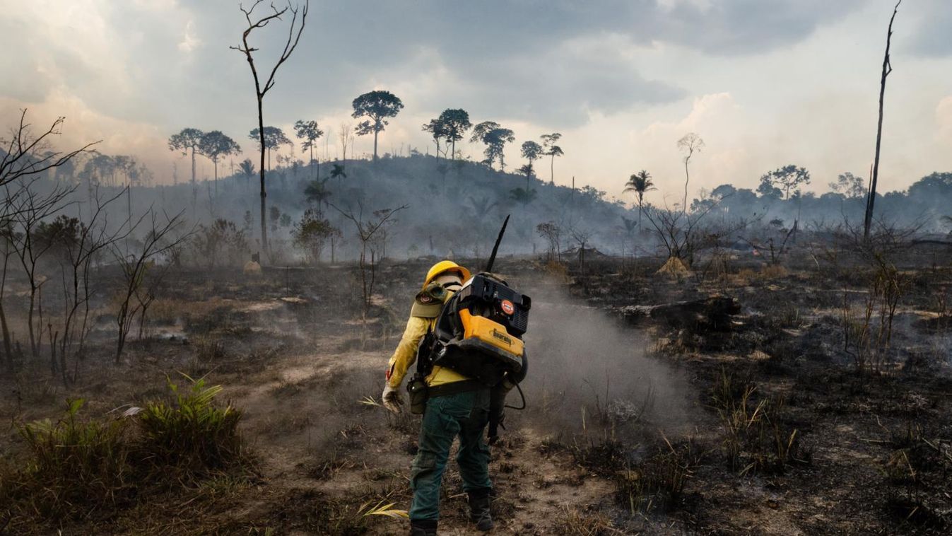 Amerikai-brazil összefogás adhat újabb esélyt Amazóniának