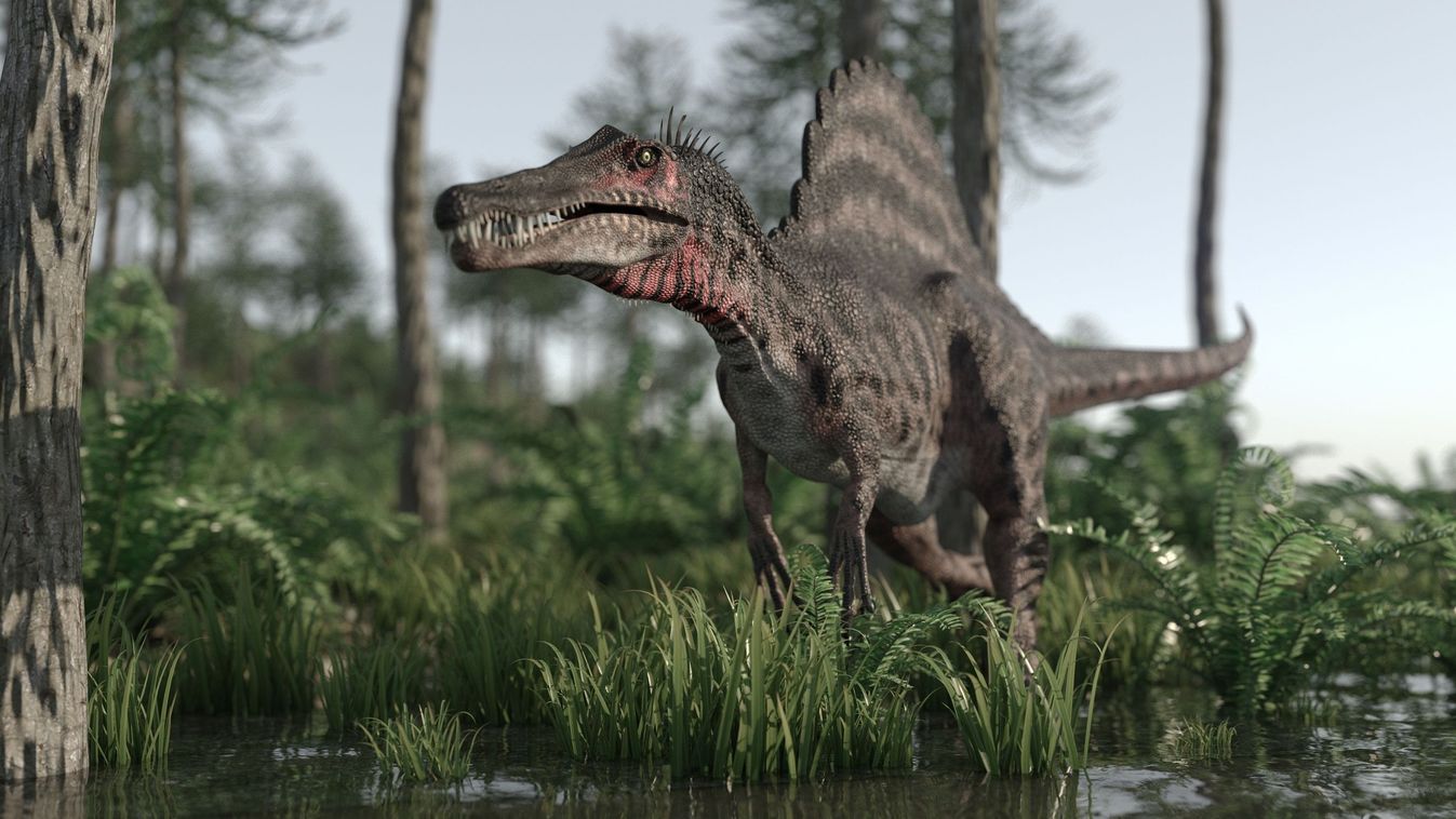 Rábukkantak az egyik legnagyobb európai húsevő dinoszaurusz maradványaira