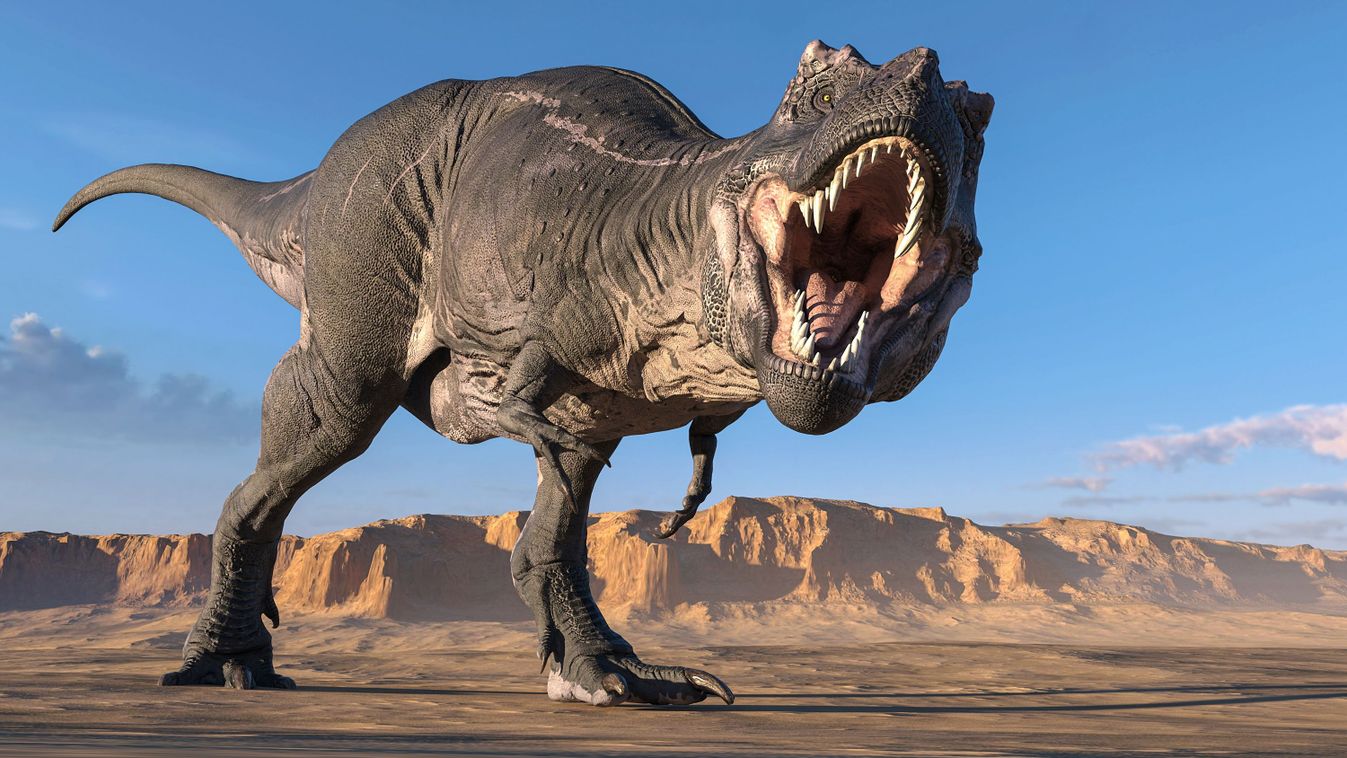 Magyarázatot találhatnak a T. rex rövid mellső végtagjaira