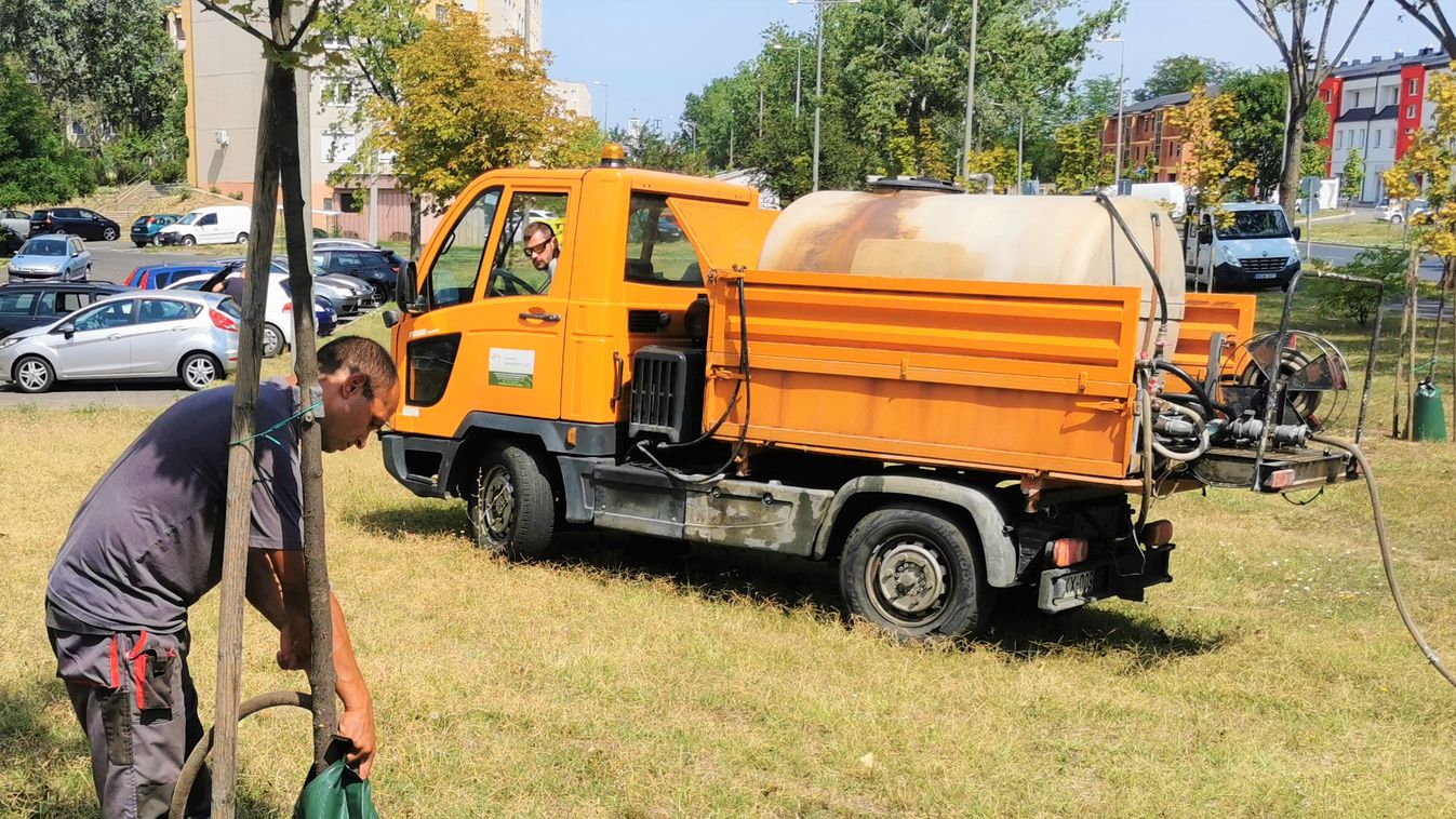 Bezsákolják a fiatal fákat - ezt a célt szolgálja az új eszköz