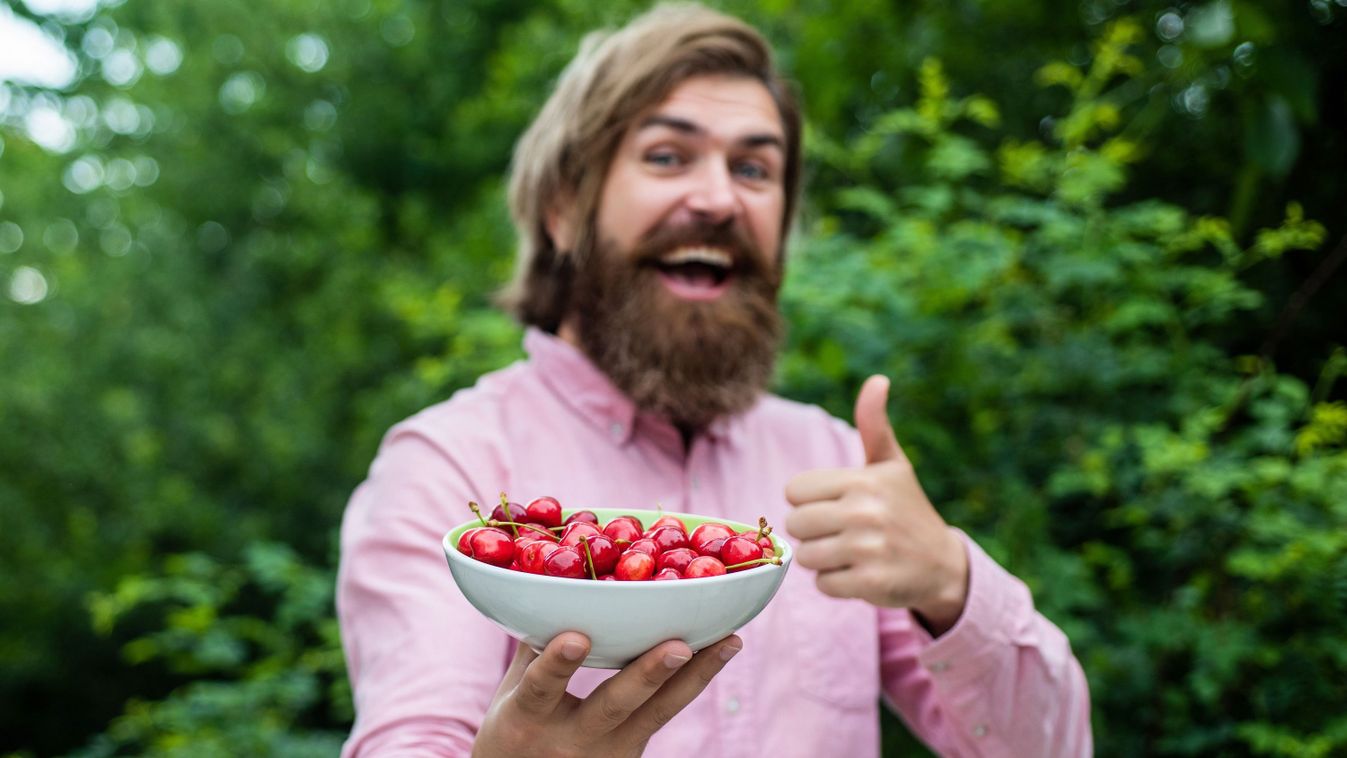 Kevesebb magyar meggy terem idén, de a minősége kimagaslóan jó lesz