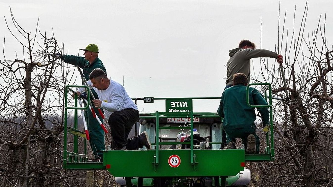 Az agrárszakképzést népszerűsíti az agrárkamara