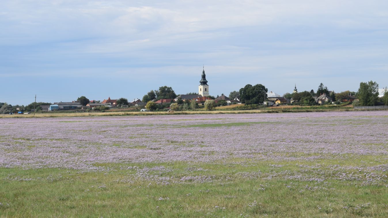 Szabadtéri kiállítást avatnak