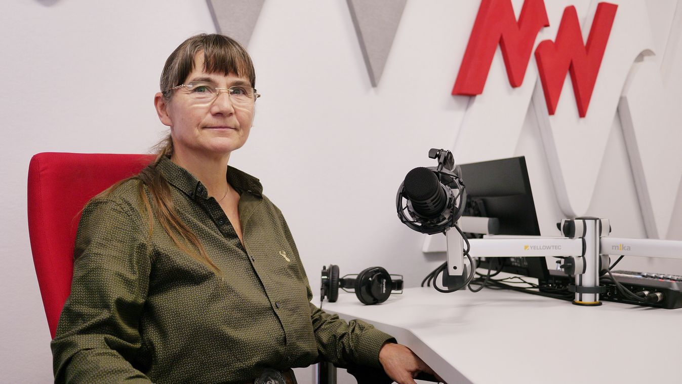 A Sóstói-erdő csodái