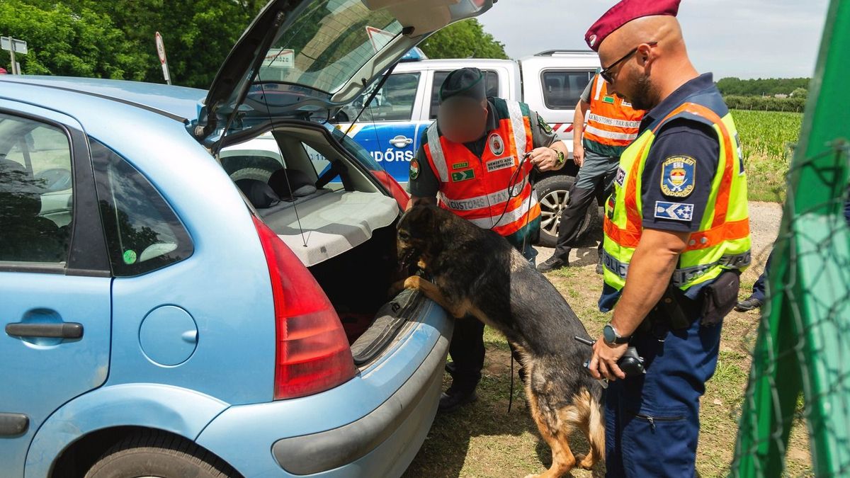 razzia, rendőrség, helikopter