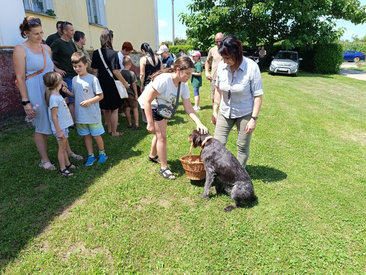 vadásznap, töret, teríték, vadűzés