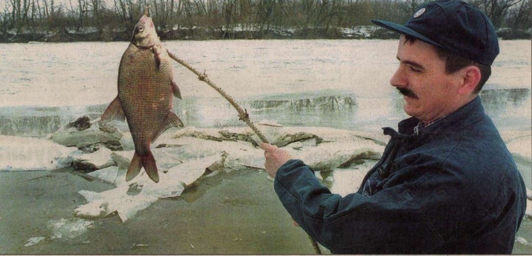 cián, cianid, ciánszennyezés, Tisza, Szamos, hal, pusztulás, katasztrófa