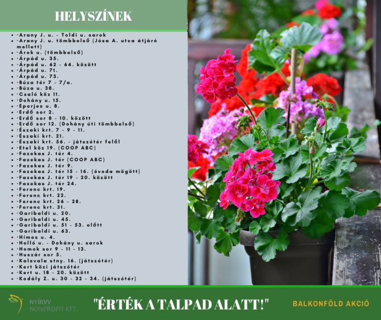 balkonfold-osztogatjak-ingyen-nyiregyhazan