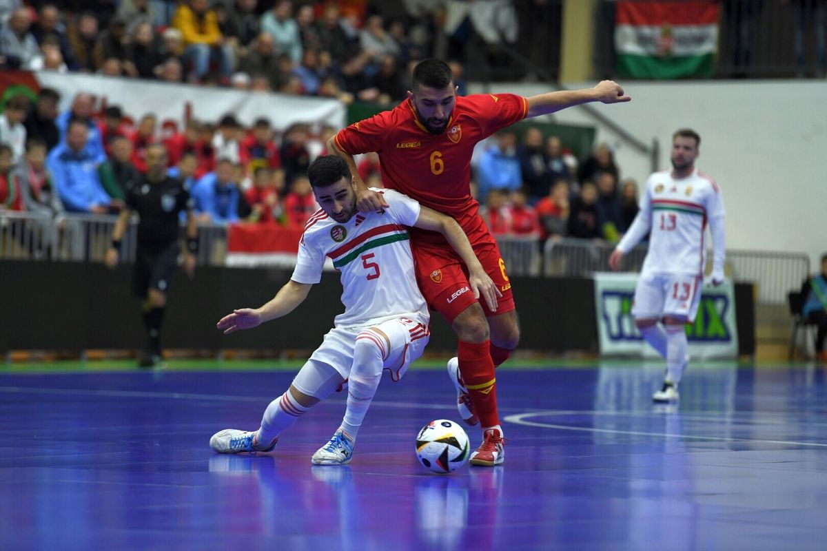 futsal magyar válogatott, Rafinha