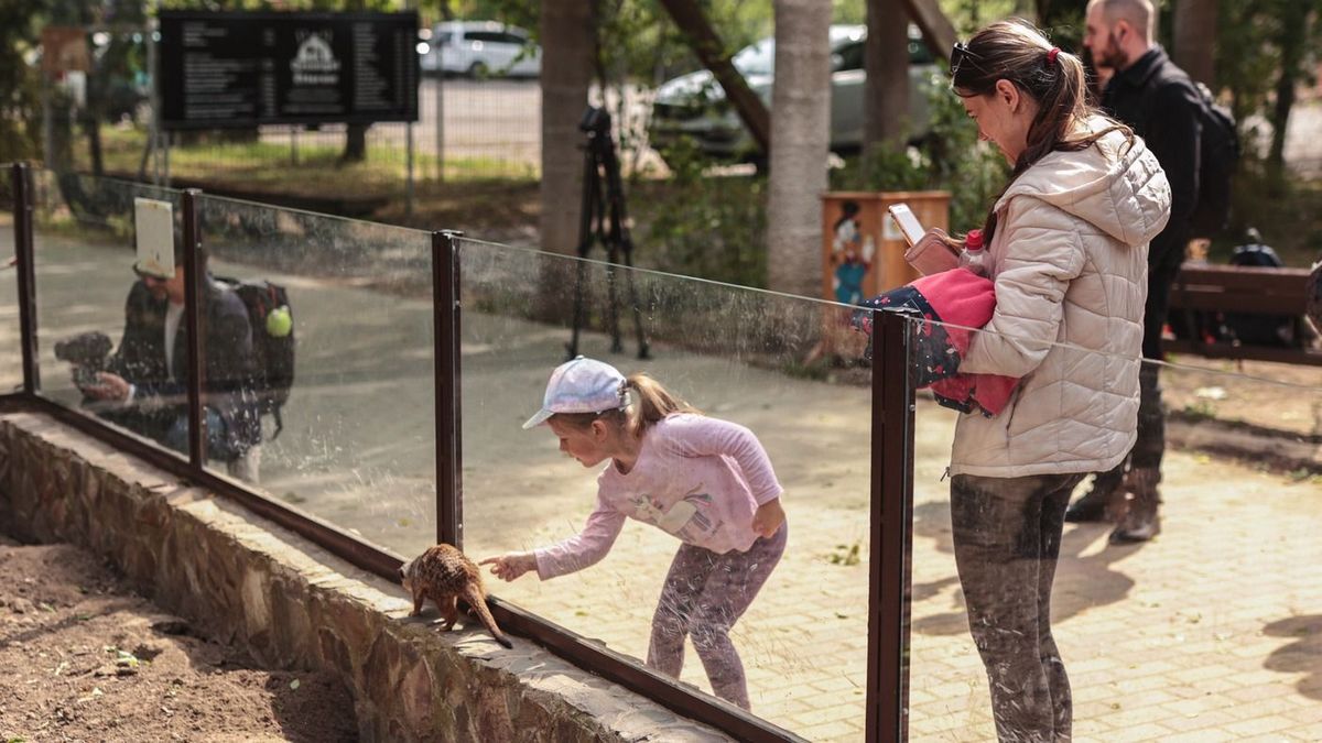 A Nyíregyházi Állatpark zavartalanul várja a látogatókat