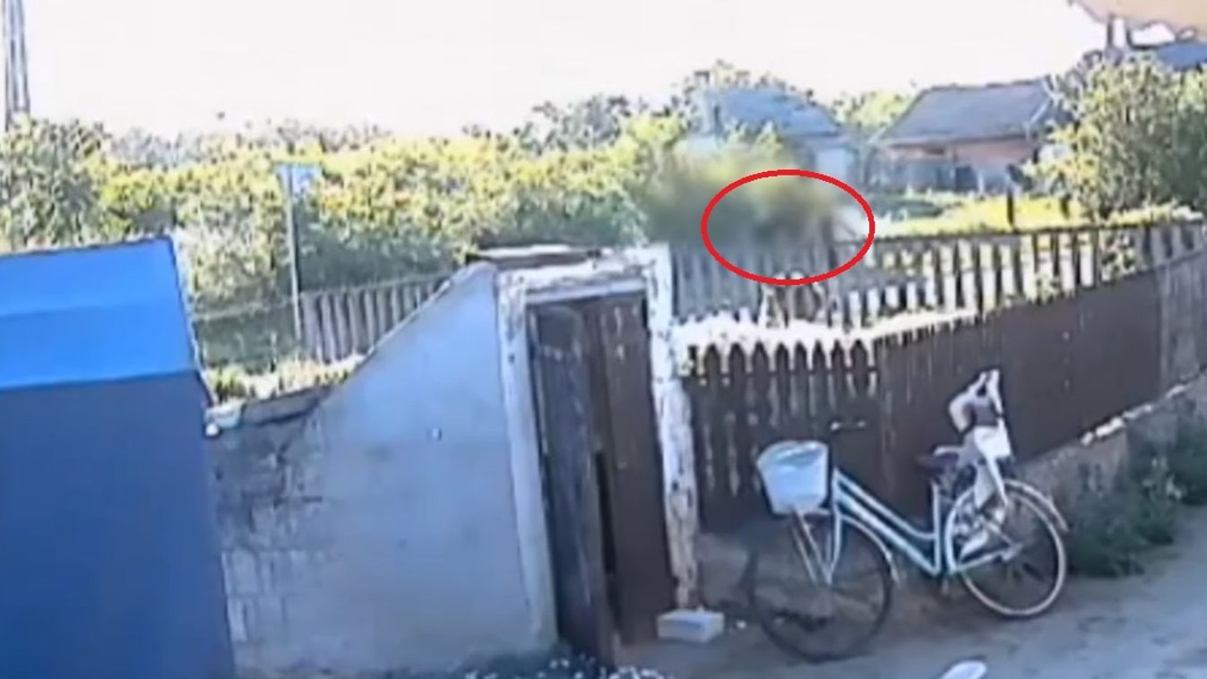 Még a 17 éves fiú fülét is leszakította, majd egy pólóval fojtotta meg (videó)