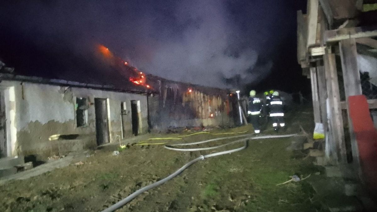 Már másodszor lángolt a szamosszegi sertéstelep