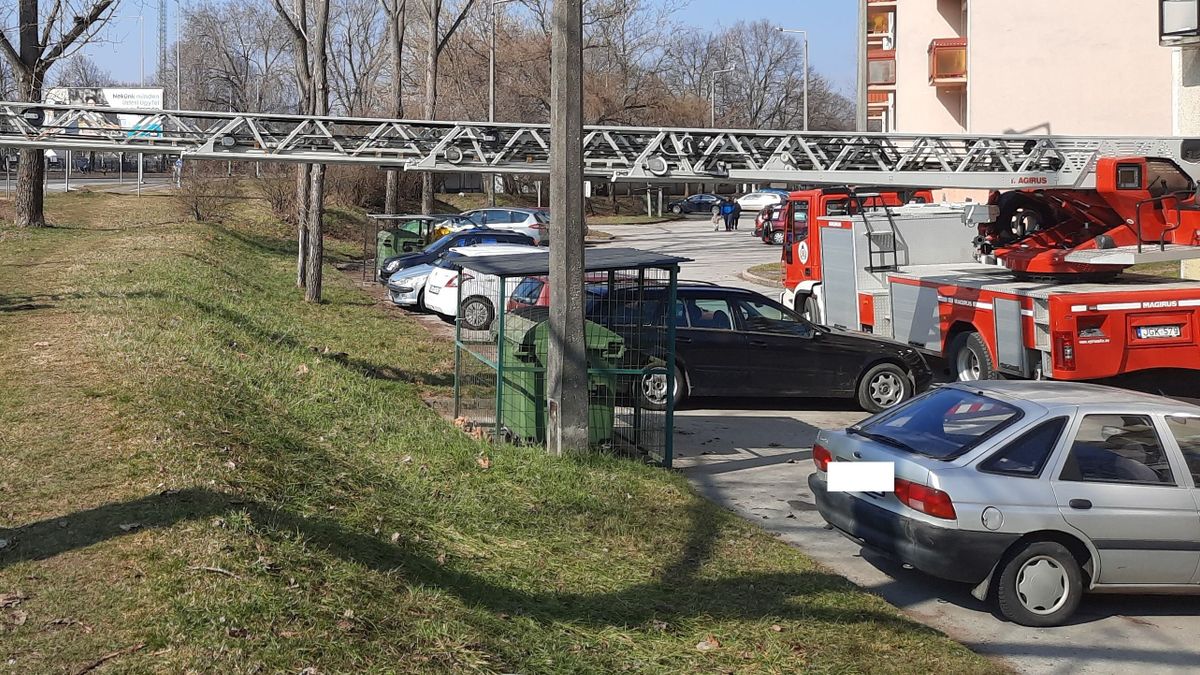 Hirtelen felbukkant! De mit keres a tűzoltók létraszere az Érkertben? (fotók)