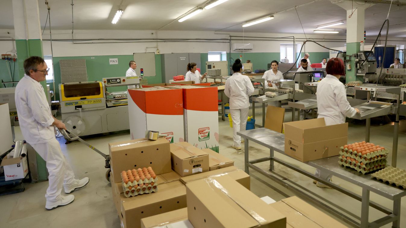 Milliós segítséget adnak a vállalkozásunk elindításához