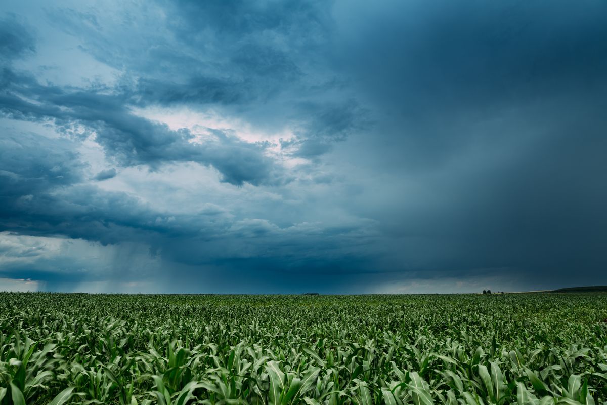 Rainy,Sky,With,Rain,Clouds,On,Horizon,Above,Rural,Landscape