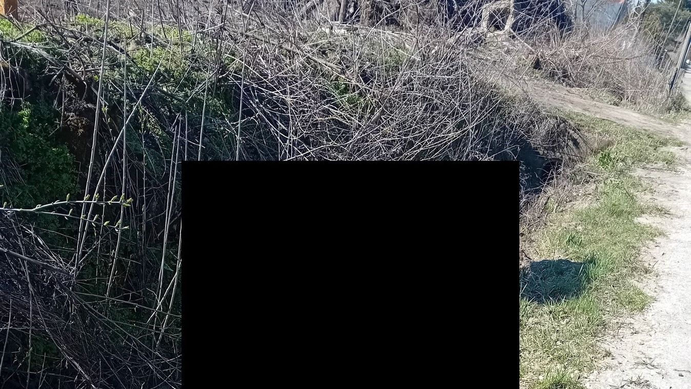 "A mai fiatalság..." - Mit műveltek ezek a nyíregyházi susnyásban? Lefotózták!