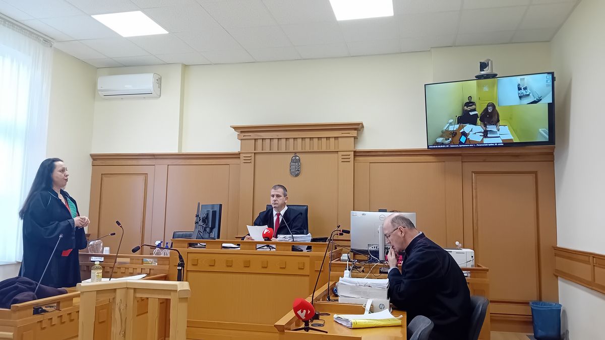 anyagyilkosság, vádlott, Nyíregyháza