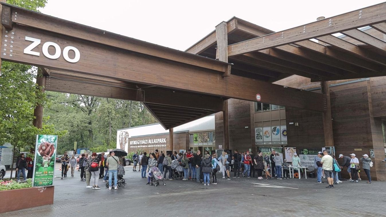 Cukiságfaktor újratöltve: ismét különleges állat született a Nyíregyházi Állatparkban