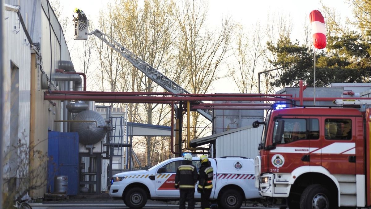 Parázsló részek után kutattak a tűzoltók a korábban lángoló üzem tetején