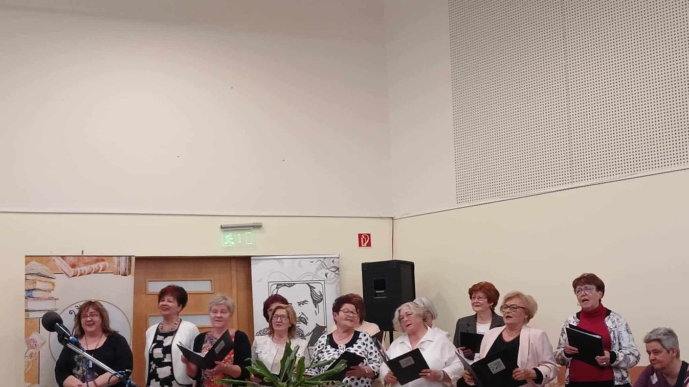 A grafoterapeuta, aki József Attila kézírását kutatja (fotókkal)