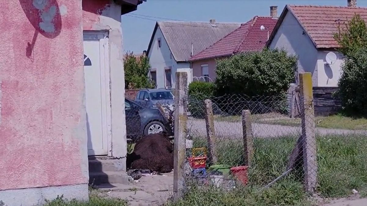 Mátészalkai horror: gitárral verte volna agyon feleségét az agresszív férfi