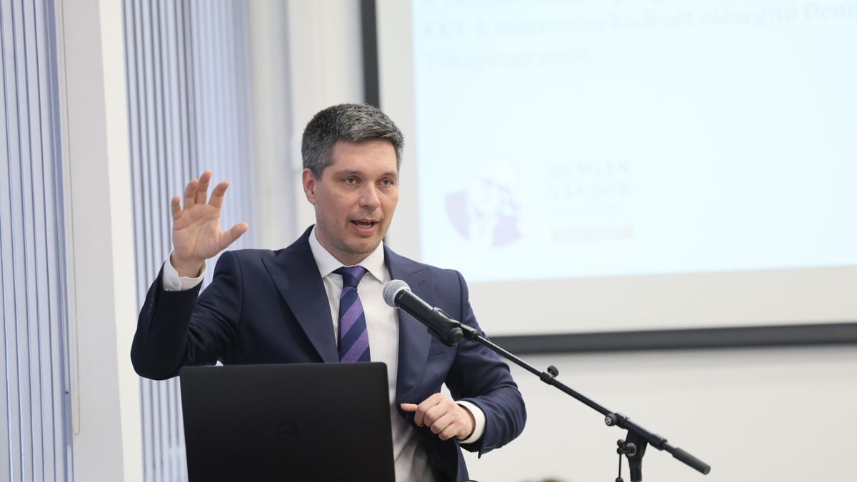 Demján Sándor Tőkeprogram