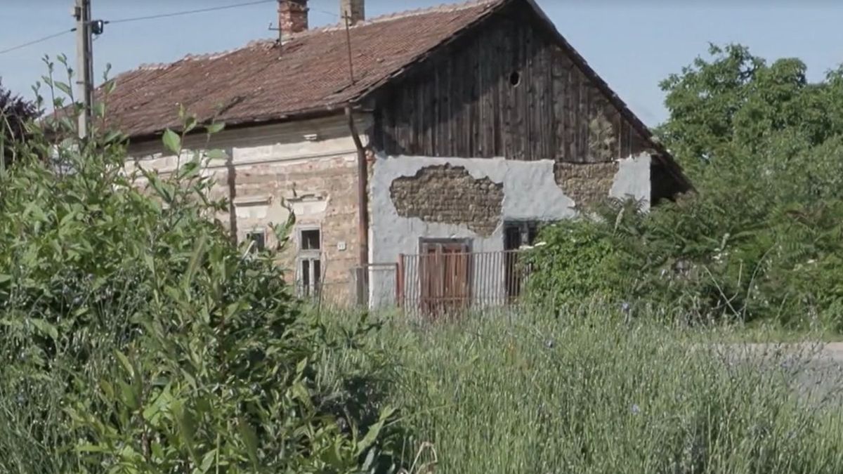 mérgezés
