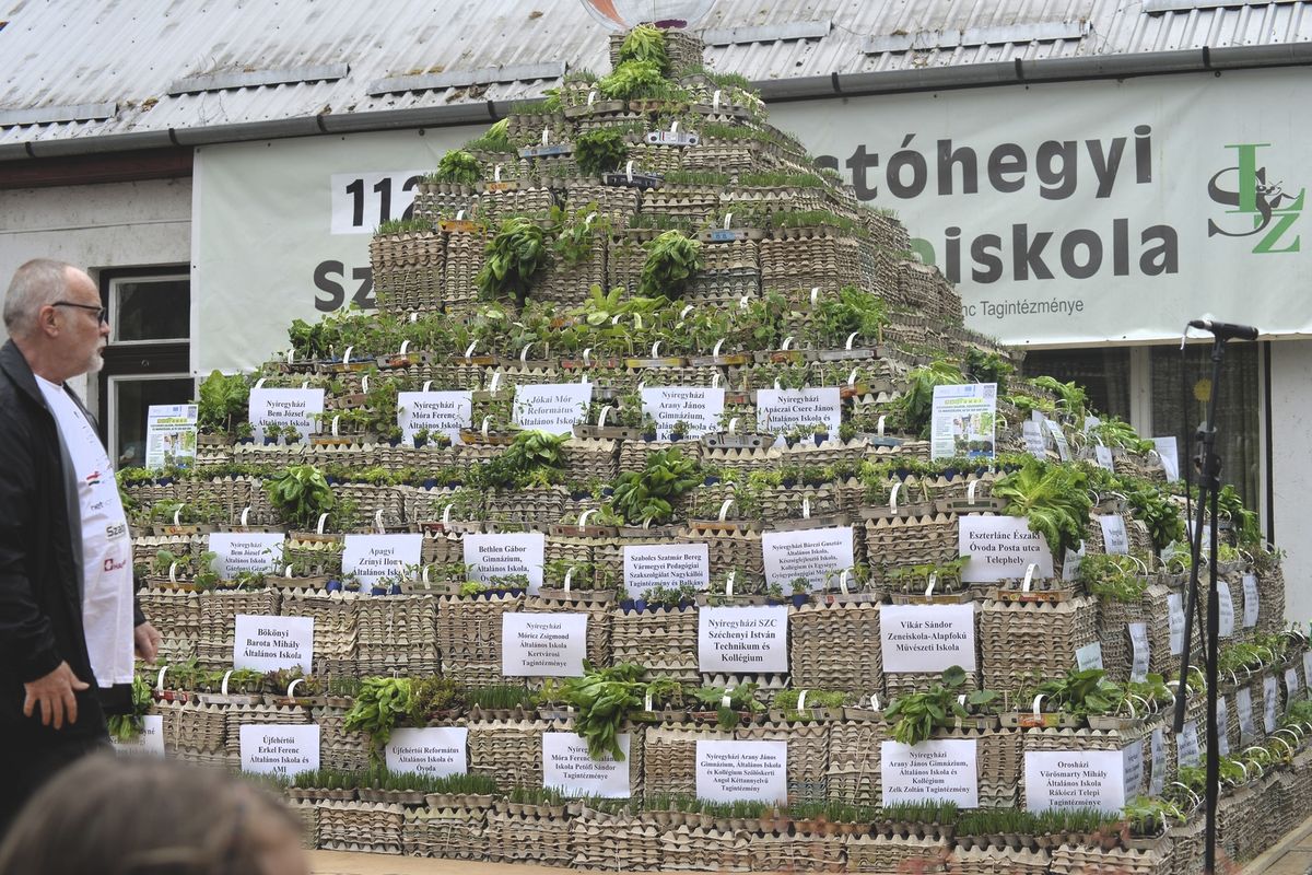 rekordkísérlet, zöld piramis, tojástartó, fenntarthatóság, sóstóhegyi ökoiskola, Szabó Lőrinc Tagintézmény