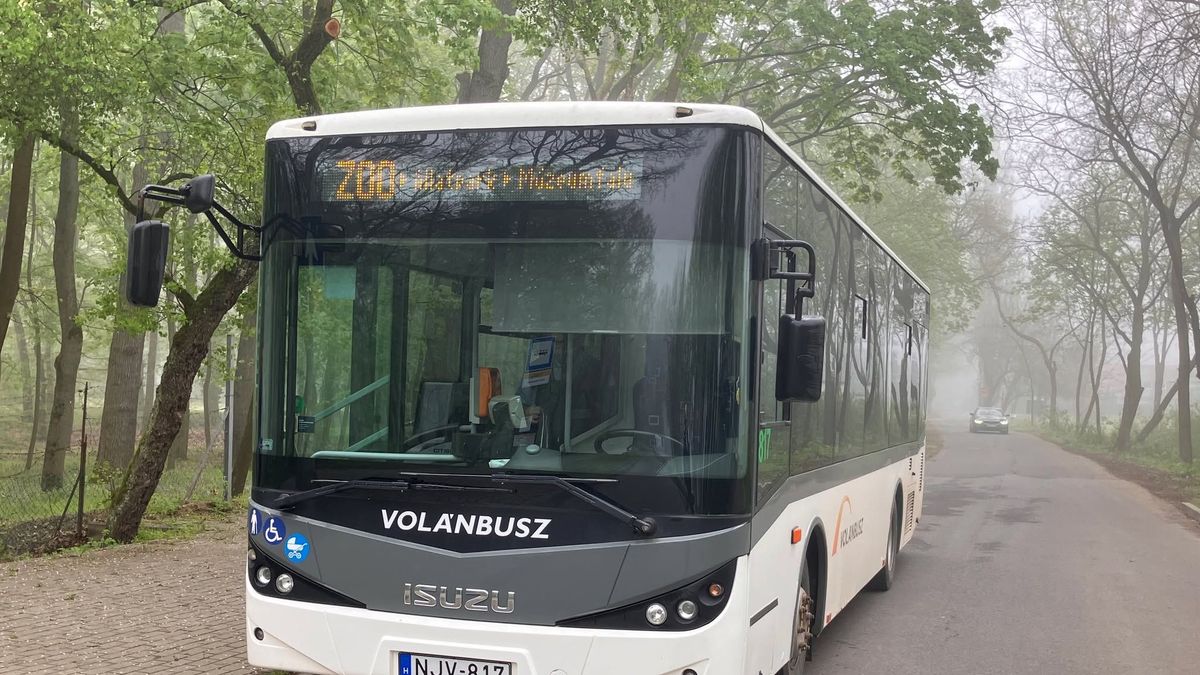 Sóstó Midibusz dr. Kovács Ferenc