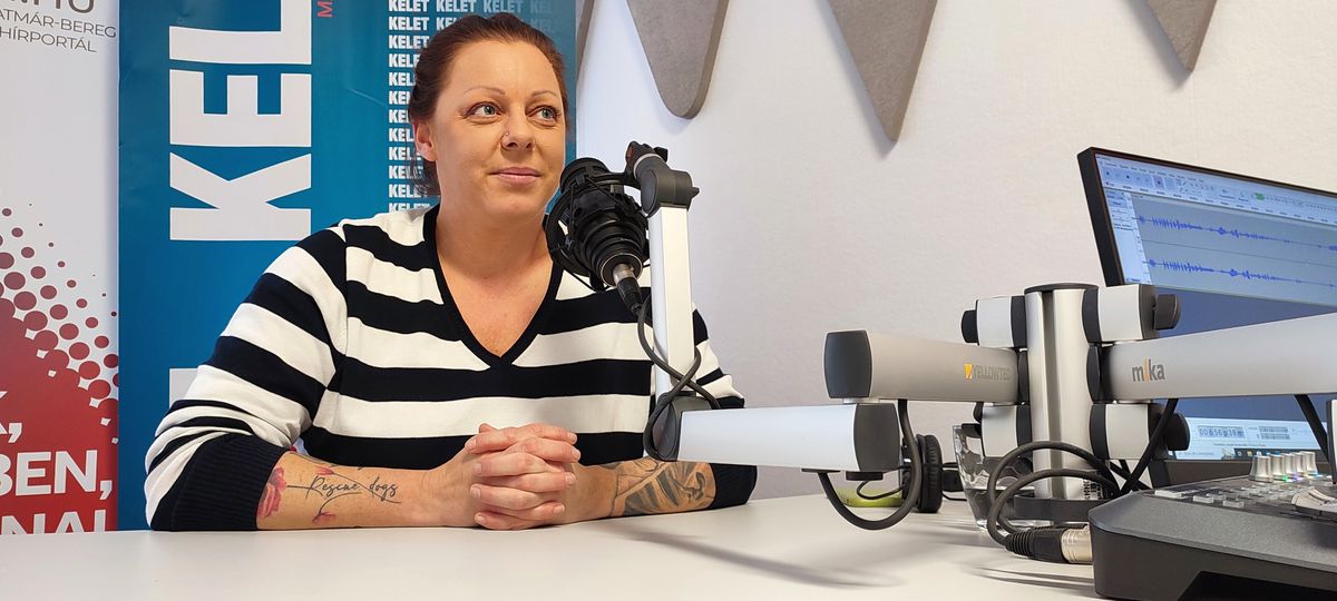 menhely, létszámstop, Állatbarát Alapítvány, Csatorna utcai állatotthon, Novák Éva