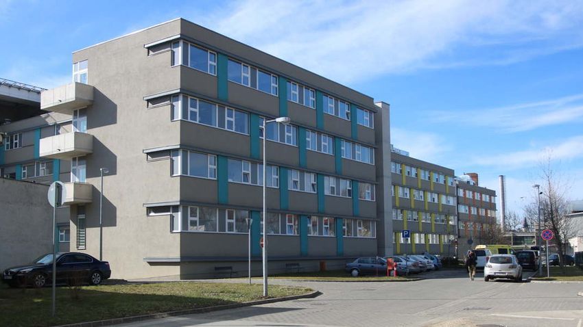csöves maffia, hajléktalan