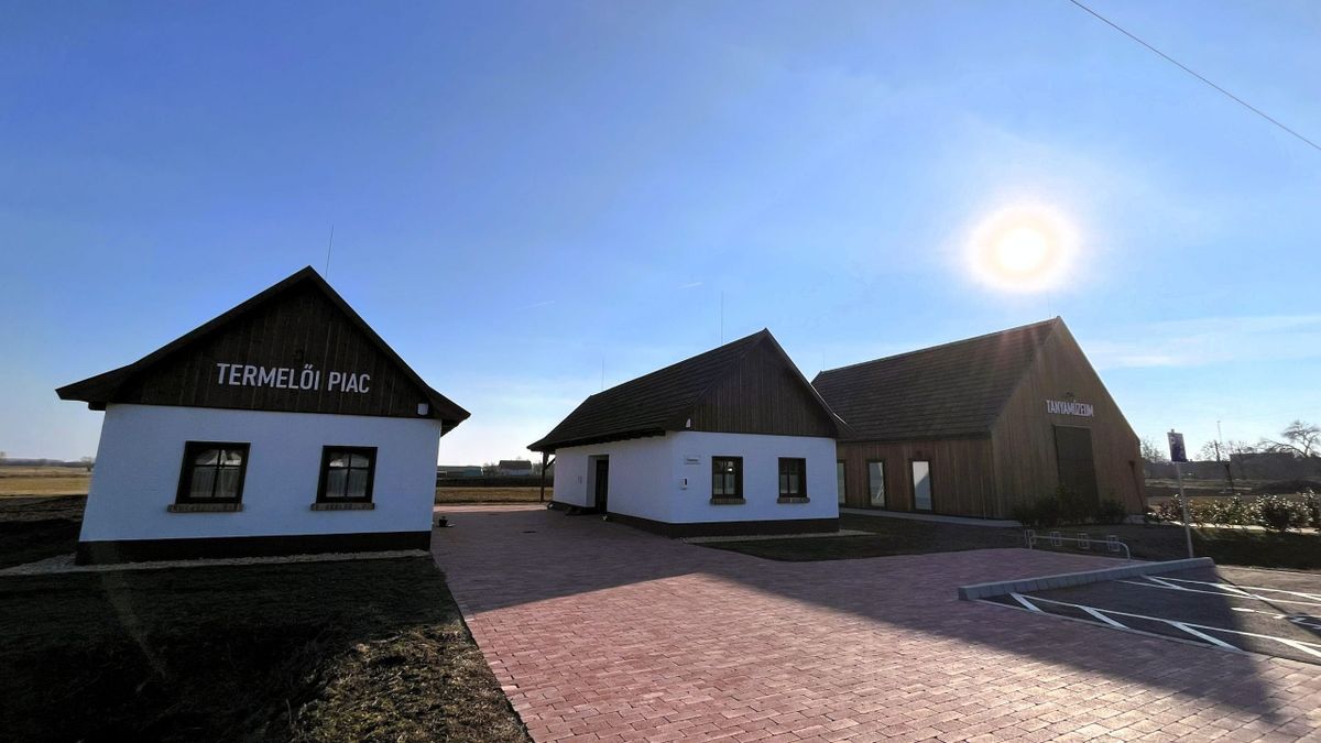 Termelői piac, Papp József, közösségi élmény, sajtok, Zsindelyes Cottage
