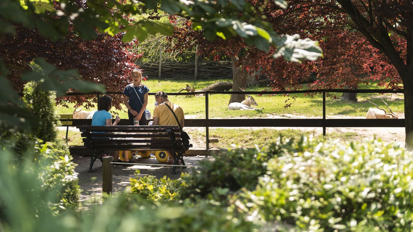 Újabb szenzáció! Már megint nagyon különleges állatokkal bővült a Nyíregyházi Állatpark
