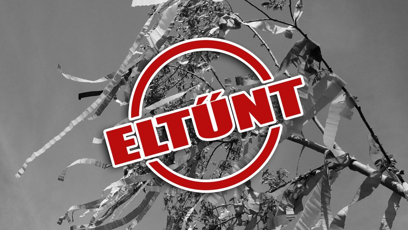 Ezt is büntethetnék? Nyíregyházán úgy tűnik, új trend lett májusfát lopni!