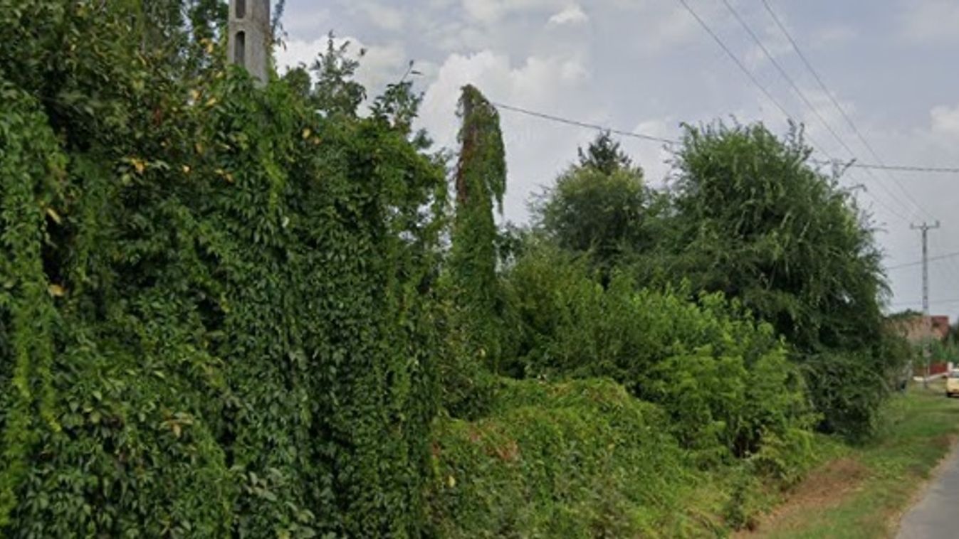 Azt hitték, titokban csinálják, de levideózták a bedőbokori bűnbeesőket!