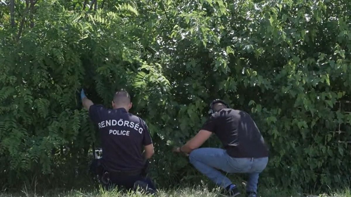 Gyilkosság testvér Nyíregyháza