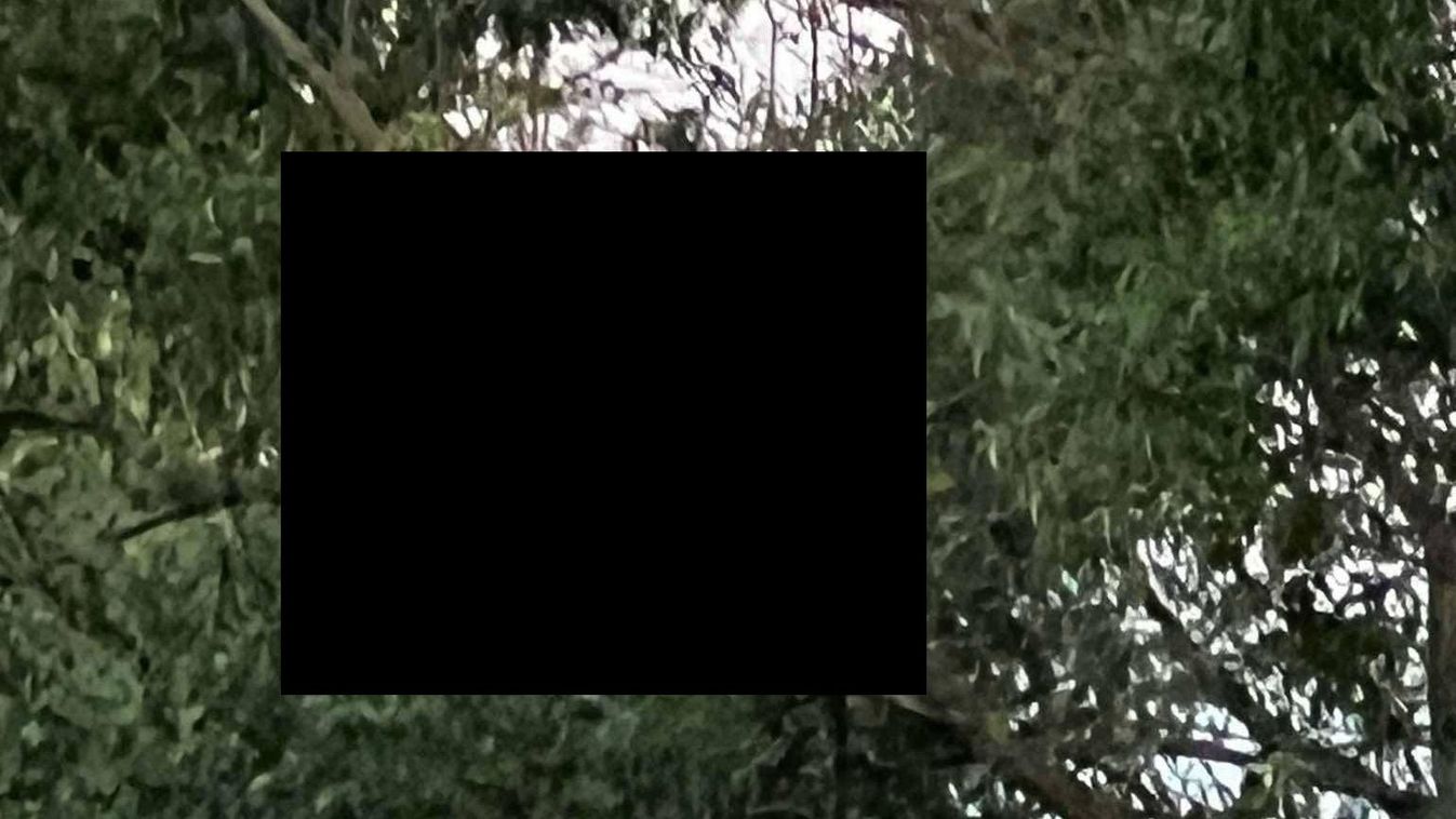 Különös vendég tűnt fel az erdőszélen – most végre sikerült lefotózni
