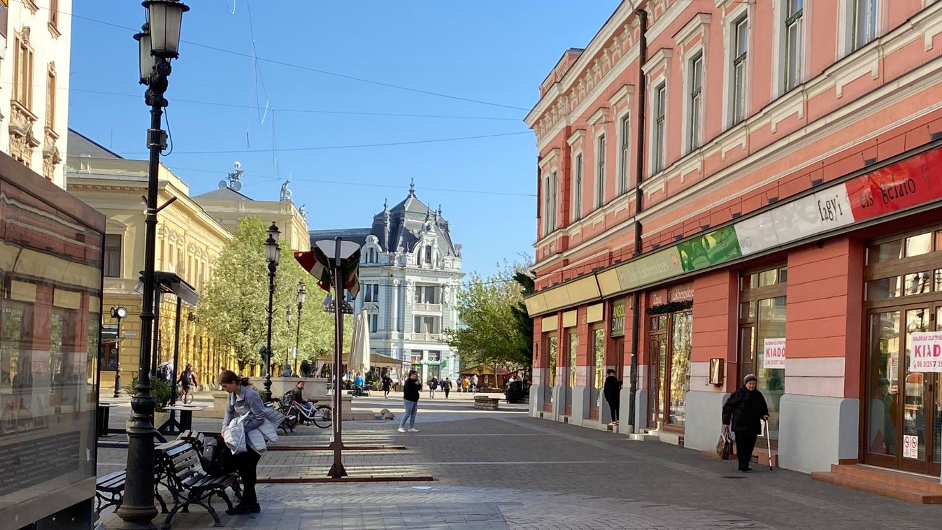 Nagyon durva fertőzést hordozhatnak ezek az állatok, a nyíregyháziak sincsenek biztonságban