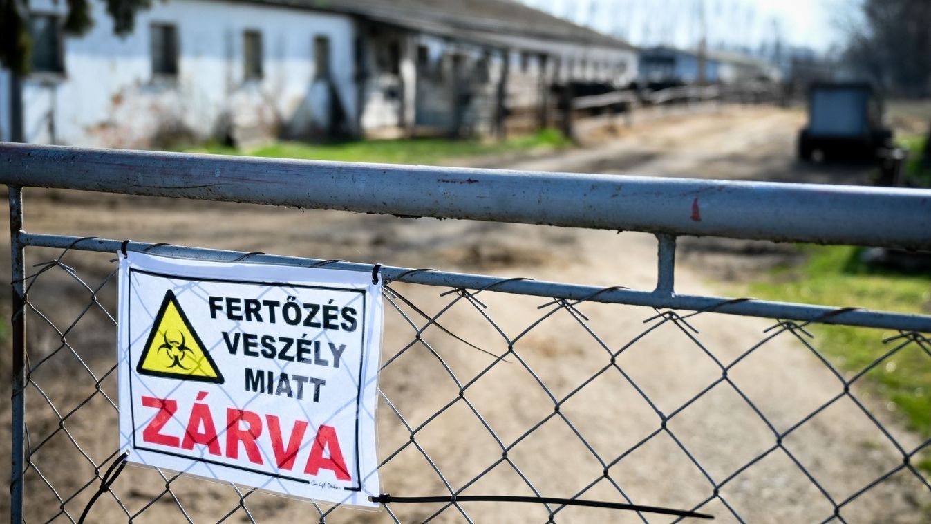 Jobb, ha vigyázunk! A gyilkos kór egyre közelebb kerül Szabolcs vármegyéhez