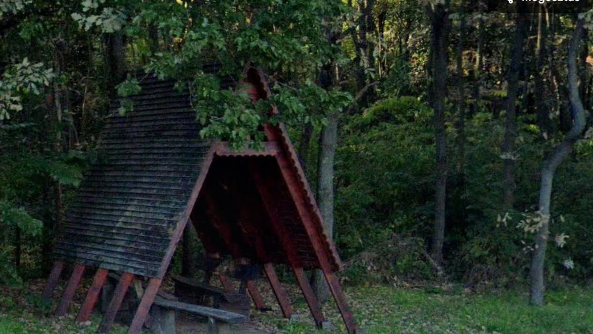 Ez igaz? Ketten támadtak rá és ölték meg a Sóstói-erdőben...
