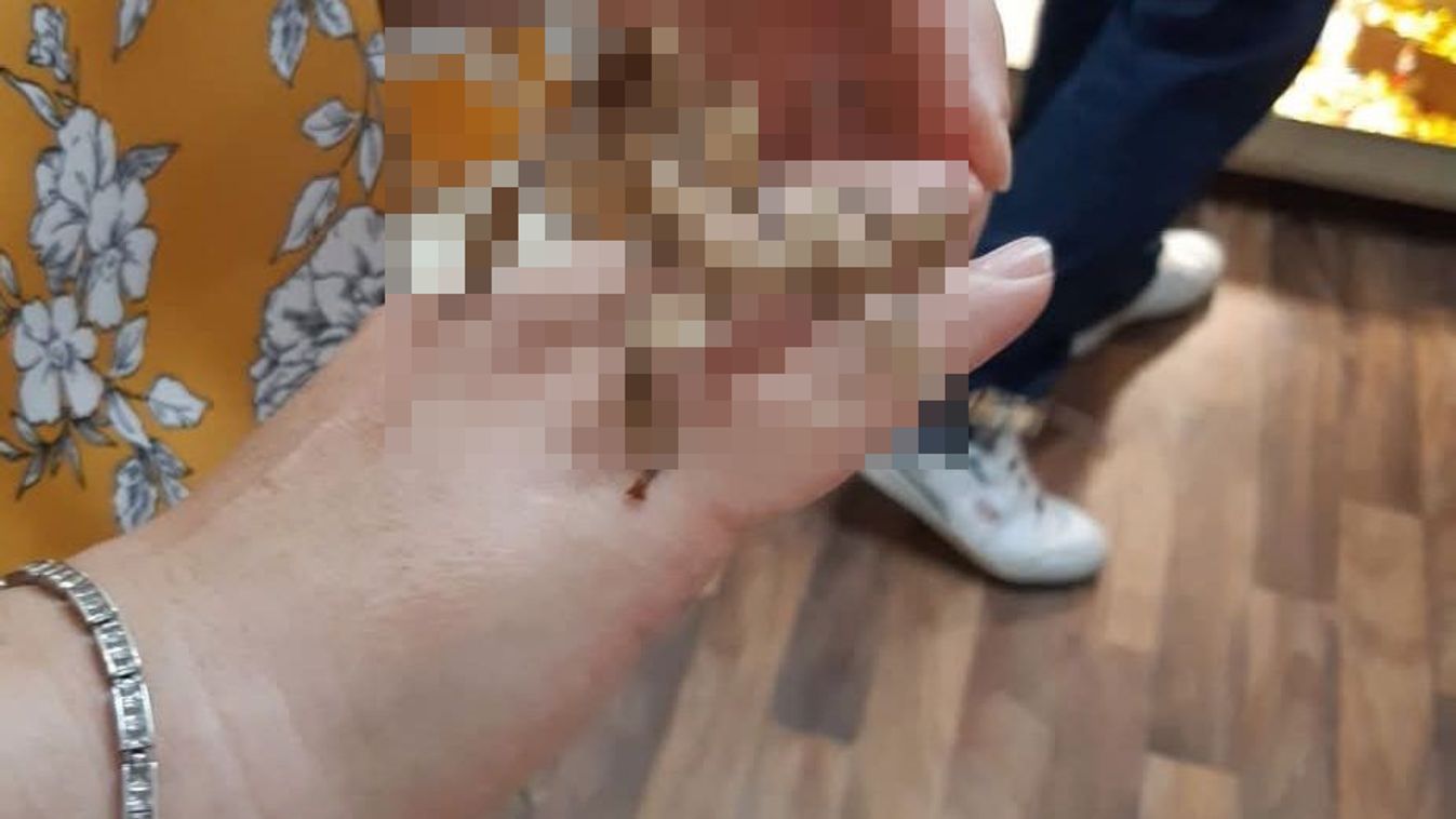 Bárhol lehet most Nyíregyházán! - "Én frászt kaptam majdnem... konkrétan!"