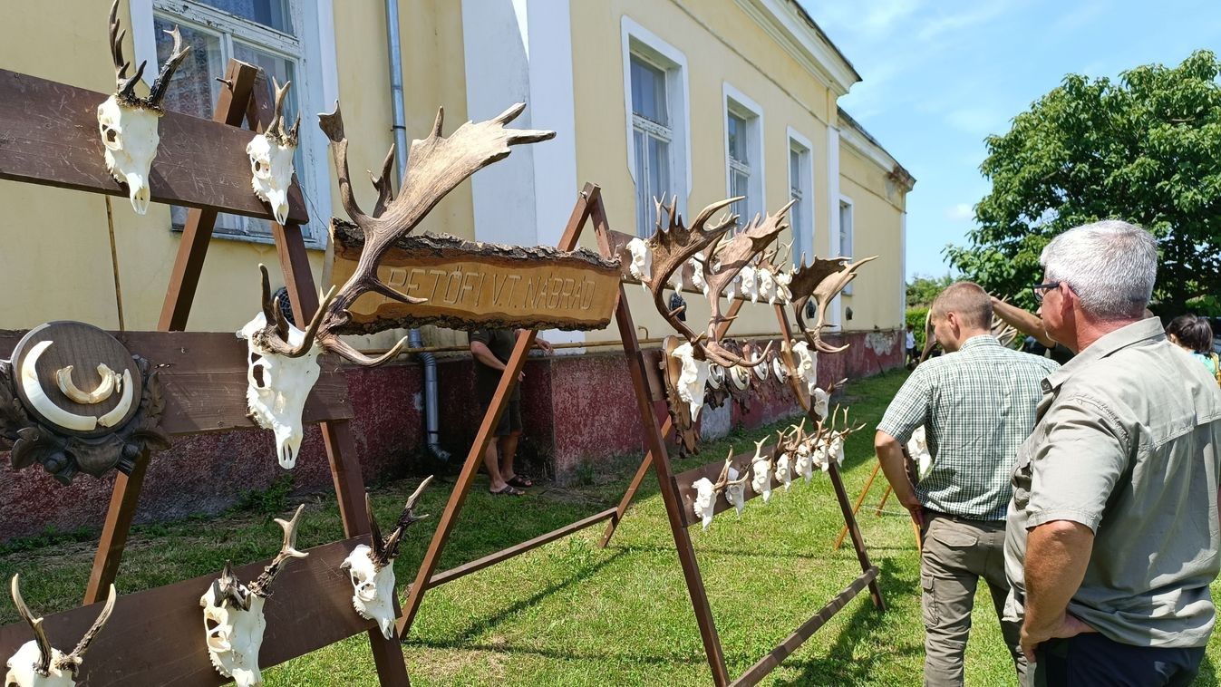 Sólyom a kézen, munkában a vizsla – közeleg a vármegyei vadásznap