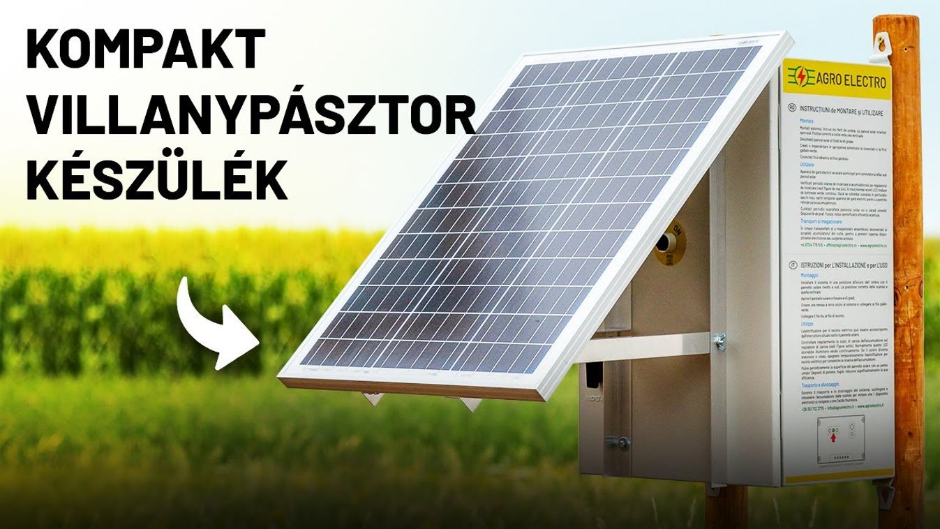 Hogyan tartsuk karban a villanypásztort a nyári szezonban?