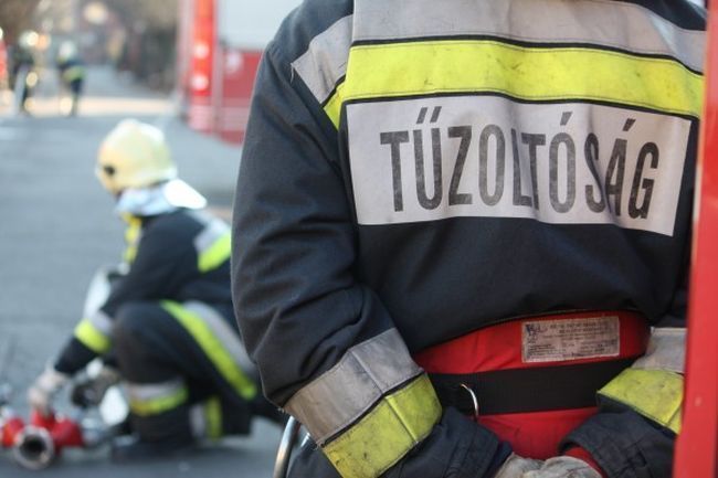 tűz
