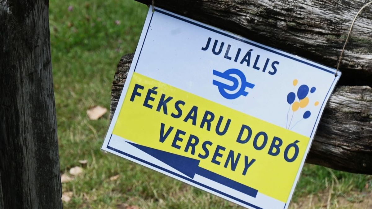 vasutasnap, sóstói múzeumfalu